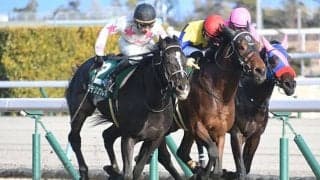 マテンロウレオが故障、休養へ