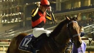 【安田記念出走馬・騎手確定】シュネルマイスター＆C.ルメール騎手、イルーシヴパンサー＆田辺裕信騎手など18頭