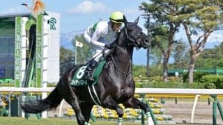 【鳴尾記念出走馬・騎手確定】カイザーバローズ＆川田将雅騎手、ヴェルトライゼンデ＆D.レーン騎手など10頭