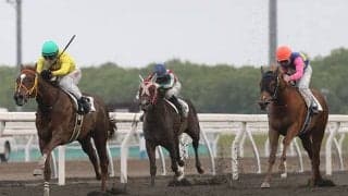 【地方競馬】絶滅寸前のオグリキャップ直系の血を継ぐフォルキャップ、デビュー戦は4着