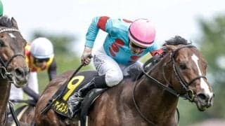 昨年のラジオNIKKEI賞覇者ヴァイスメテオールが調教中の故障で安楽死　ダービー2着馬イクイノックスの半兄