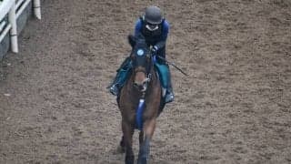 【JRA新馬戦】サトノダイヤモンド産駒ダイヤモンドハンズなどがデビュー