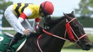 【次走】ユニコーンライオンがプロキオンSで復帰　昨年の宝塚記念2着以来1年ぶり