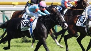 皐月、ダービー2着 イクイノックスが左前脚の腱にダメージ