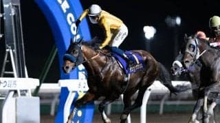 【北海道スプリントC】サウジ帰りのダンシングプリンスが4連勝