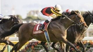 【安田記念枠順確定】シュネルマイスターは5枠9番、イルーシヴパンサーは4枠8番