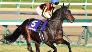【鳴尾記念枠順確定】カイザーバローズは7枠8番、ヴェルトライゼンデは2枠2番