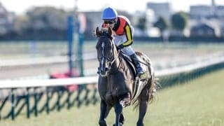 【次走】NHKマイルC5着のインダストリアはユニコーンSへ 今年のジュニアC勝ち馬
