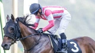 【函館スプリントS想定】昨年覇者ビアンフェは藤岡佑介騎手、高松宮記念3着キルロードは菊沢一樹騎手