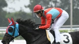 【エプソムC想定】連勝中ジャスティンカフェは横山典弘騎手、2年ぶりの復帰戦コルテジアは三浦皇成騎手