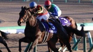 【今日の注目ポイント】鳴尾記念でヴェルトライゼンデ復帰、2歳新馬戦スタートなど