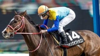 【鳴尾記念予想】宝塚記念やサマーシリーズを見据えた戦い