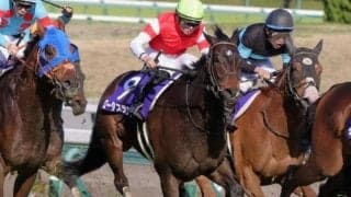 【安田記念予想】妙味十分！ 人気薄でも食指が動く「はち切れんばかり」の好馬体