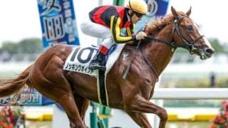 【東京5R新馬戦結果】チェッキーノの仔ノッキングポイントが3馬身差で初陣V