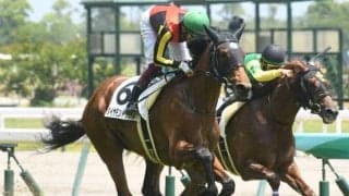 【中京5R新馬戦結果】新種牡馬サトノダイヤモンド産駒ダイヤモンドハンズが世代の一番星
