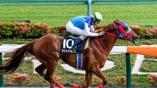 【アハルテケS結果】アドマイヤルプスが人気に応え3馬身半差完勝