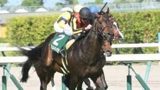 【鳴尾記念結果】ヴェルトライゼンデが1年4か月ぶりの休養明けを重賞初Vで飾る