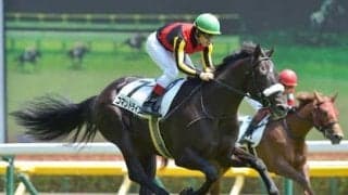 国枝厩舎期待の牝馬、エルダーサインの可能性。「若干緩さが残るも新馬戦では十分勝負になる」