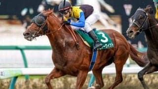 【JRA】レピアーウィットが競走馬登録抹消、今後は乗馬に 2021年マーチS覇者