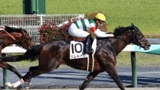 【中京12R】唯一の3歳馬 ジレトールが完勝