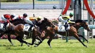 【中京7R】ディープ産駒 ゼッフィーロが2勝目