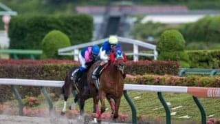 【アハルテケS】アドマイヤルプスがオープン初勝利