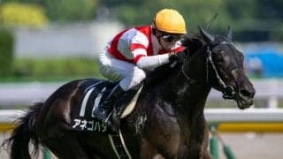 【由比ヶ浜特別】アネゴハダが3馬身差完勝