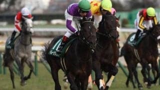 【安田記念予想】伝統の春マイル王者決定戦、東京巧者の上がり馬に期待