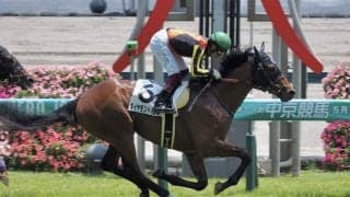 2022年新種牡馬産駒 初勝利！