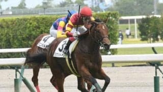 【中京5R新馬戦結果】ミッキーロケットの初年度産駒ジョウショーホープが快勝