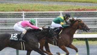 【松風月S結果】オーロラテソーロが押し切ってオープン2勝目