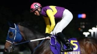 【大井・東京ダービー枠順】ミヤギザオウは1枠1番、シャルフジンは4枠7番