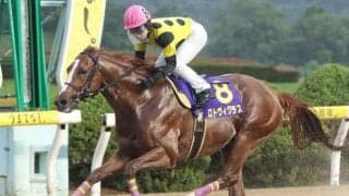 【佐賀がばいダッシュ結果】ロトヴィグラスが逃げて4馬身差圧勝