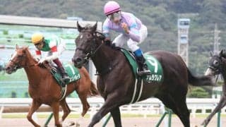 【函館スプリントS登録馬】ナムラクレアなど22頭