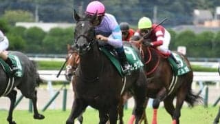 【函館スプリントS見どころ】桜花賞3着馬ナムラクレアが重賞2勝目を狙う