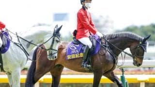 GI馬ペルシアンナイトが東京競馬場で誘導馬デビュー