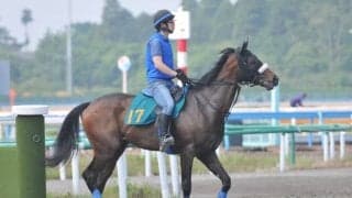 母は米2歳牝馬チャンピオン 3億円馬ダノンザタイガーがデビュー/関東馬メイクデビュー情報