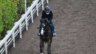 祖母はクイーンCなど重賞3勝、クリダームがデビュー/関西馬メイクデビュー情報