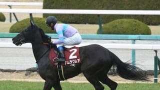 【函館スプリントS想定騎手】ナムラクレアは浜中俊騎手、ビアンフェは藤岡佑介騎手