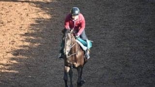 キスウマイなど、先週のゲート試験/栗東トレセンニュース