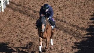 テーオーケインズなど、先週の入厩情報/栗東トレセンニュース