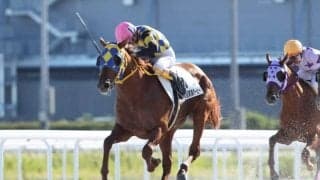 【名古屋・東海ダービー結果】タニノタビトが人気に応え重賞連勝