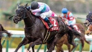 【函館スプリントS予想オッズ】ナムラクレアが予想1番人気