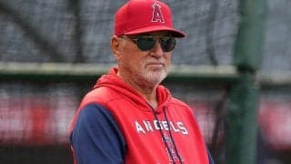 【MLB】エンゼルス、マドン監督を電撃解任　ネビン三塁コーチが代理監督…球団発表