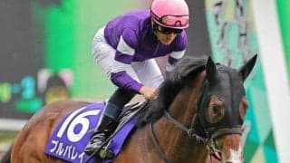 【函館スプリントS展望】サマースプリントシリーズ開幕戦、近年は特に前有利