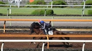 ルビーカサブランカなど、マーメイドS1週前追い切り速報/栗東トレセンニュース