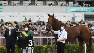 【次走】オーロラテソーロはクラスターCまたはサマーチャンピオン参戦を視野に