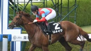 【ユニコーンS想定】3連勝中のラニ産駒リメイク、後方一気でOP制覇のハセドン、サウジダービー2着セキフウなど