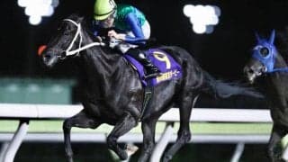 【大井・東京ダービー結果】浦和のカイルが押し切り重賞初V、本橋孝太騎手は2度目のダービー制覇