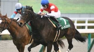 安田記念10着のロータスランド、16着のカラテは放牧へ　辻野師「ともに夏休みへ」